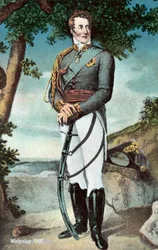 Waterloo 1815, Wellington